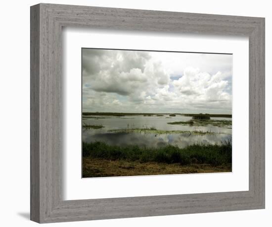 Everglades Restoration-J. Pat Carter-Framed Photographic Print