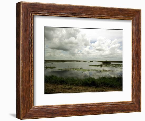 Everglades Restoration-J. Pat Carter-Framed Photographic Print