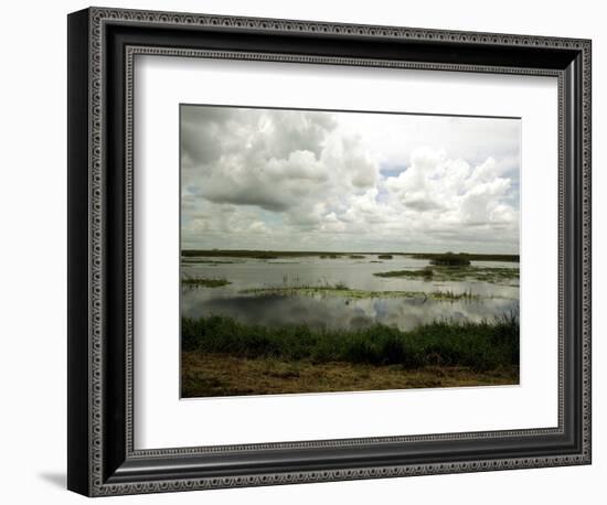 Everglades Restoration-J. Pat Carter-Framed Photographic Print