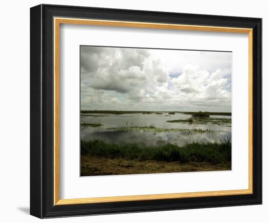 Everglades Restoration-J. Pat Carter-Framed Photographic Print