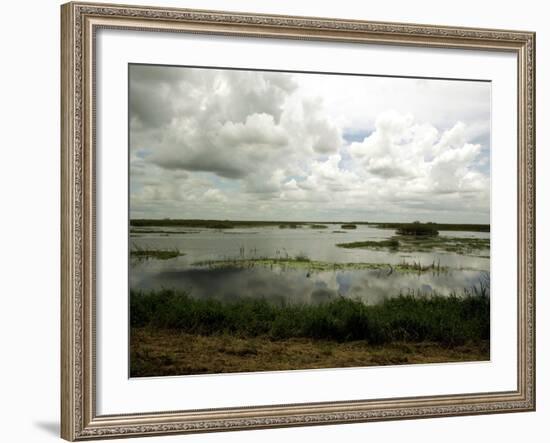 Everglades Restoration-J. Pat Carter-Framed Photographic Print