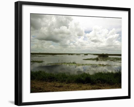 Everglades Restoration-J. Pat Carter-Framed Photographic Print