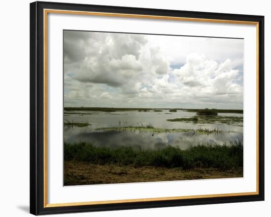 Everglades Restoration-J. Pat Carter-Framed Photographic Print