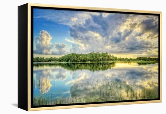 Everglades Sunset-Dennis Goodman-Framed Premier Image Canvas