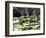 Everglades Tourism-David Adame-Framed Photographic Print