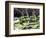 Everglades Tourism-David Adame-Framed Photographic Print