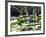 Everglades Tourism-David Adame-Framed Photographic Print