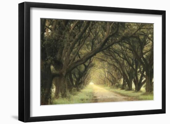 Evergreen Alley-William Guion-Framed Giclee Print