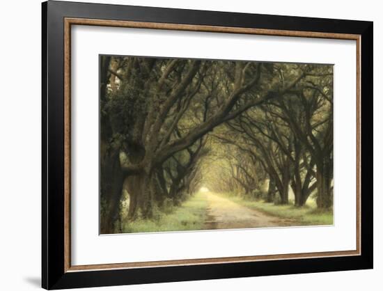 Evergreen Alley-William Guion-Framed Giclee Print