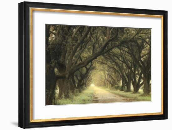 Evergreen Alley-William Guion-Framed Giclee Print