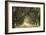 Evergreen Alley-William Guion-Framed Giclee Print