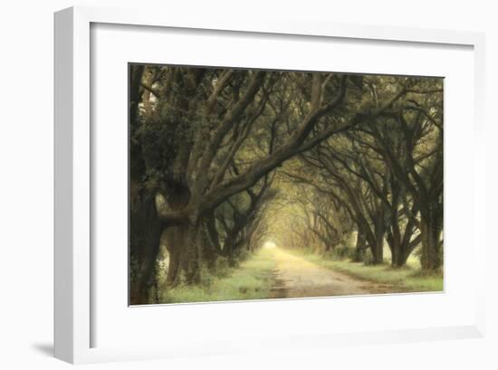 Evergreen Alley-William Guion-Framed Giclee Print