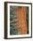 Evergreen and Sequoia Tree Trunk-Aaron Horowitz-Framed Photographic Print