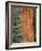 Evergreen and Sequoia Tree Trunk-Aaron Horowitz-Framed Photographic Print