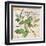 Evergreen Branch…Sketchbook-Angela Staehling-Framed Art Print