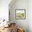 Evergreen Cottage-Ken Hurd-Framed Giclee Print displayed on a wall