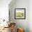 Evergreen Cottage-Ken Hurd-Framed Giclee Print displayed on a wall