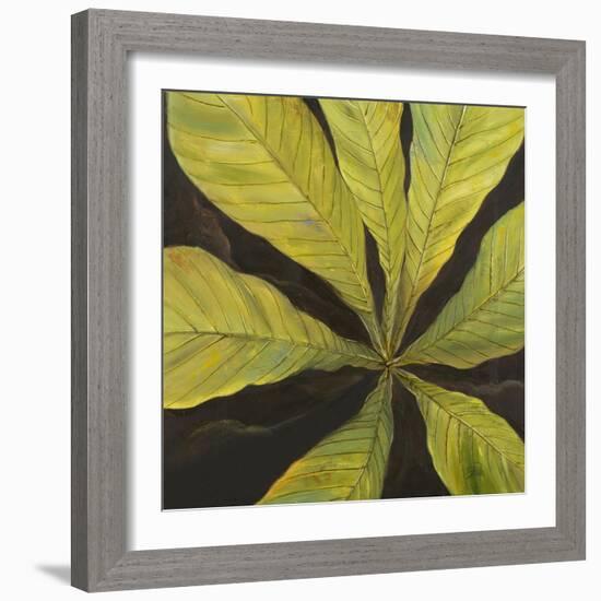 Evergreen I-Patricia Pinto-Framed Art Print