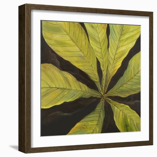 Evergreen I-Patricia Pinto-Framed Art Print