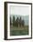 Evergreen I-Norman Wyatt Jr.-Framed Art Print