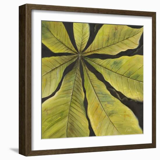 Evergreen II-Patricia Pinto-Framed Art Print