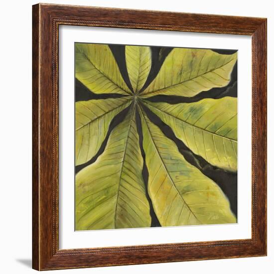 Evergreen II-Patricia Pinto-Framed Art Print