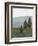 Evergreen II-Norman Wyatt Jr.-Framed Art Print