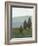 Evergreen II-Norman Wyatt Jr.-Framed Art Print