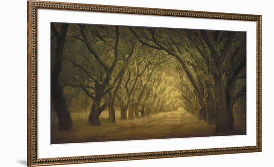 Evergreen, New Alley, Right Side-William Guion-Framed Giclee Print