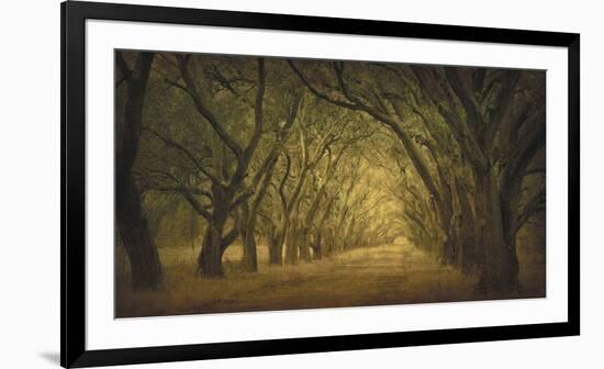 Evergreen, New Alley, Right Side-William Guion-Framed Giclee Print