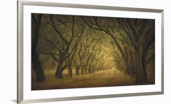 Evergreen, New Alley, Right Side-William Guion-Framed Giclee Print