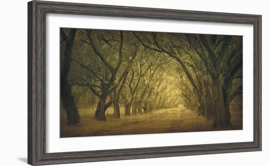 Evergreen, New Alley, Right Side-William Guion-Framed Art Print