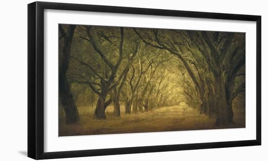 Evergreen, New Alley, Right Side-William Guion-Framed Art Print