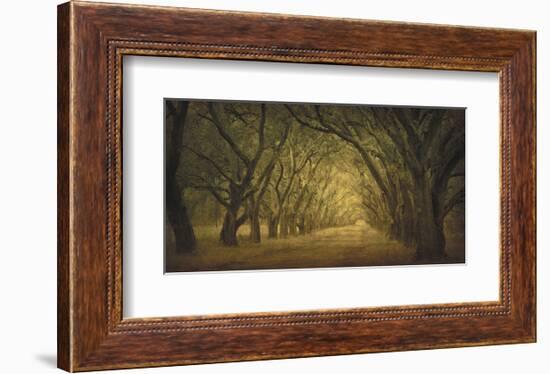 Evergreen, New Alley, Right Side-William Guion-Framed Art Print