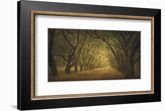 Evergreen, New Alley, Right Side-William Guion-Framed Art Print