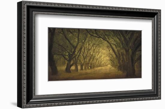 Evergreen, New Alley, Right Side-William Guion-Framed Art Print