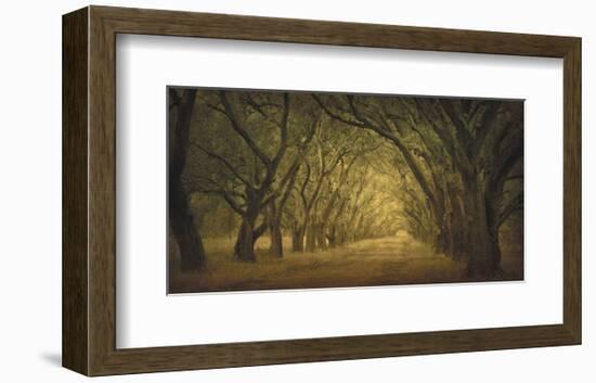 Evergreen, New Alley, Right Side-William Guion-Framed Art Print