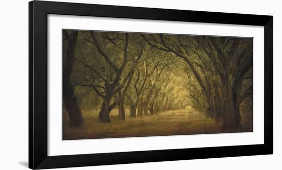 Evergreen, New Alley, Right Side-William Guion-Framed Art Print