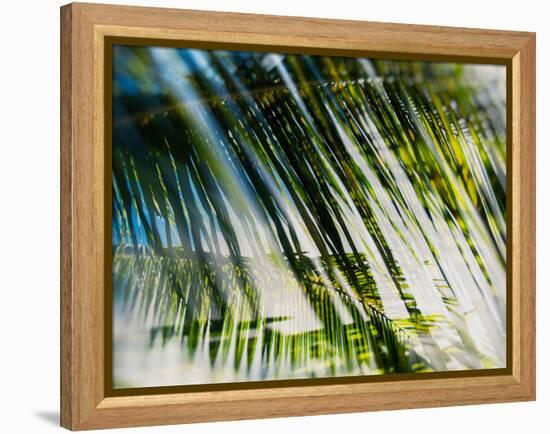 Evergreen No. 10-Sven Pfrommer-Framed Premier Image Canvas