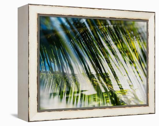 Evergreen No. 10-Sven Pfrommer-Framed Premier Image Canvas