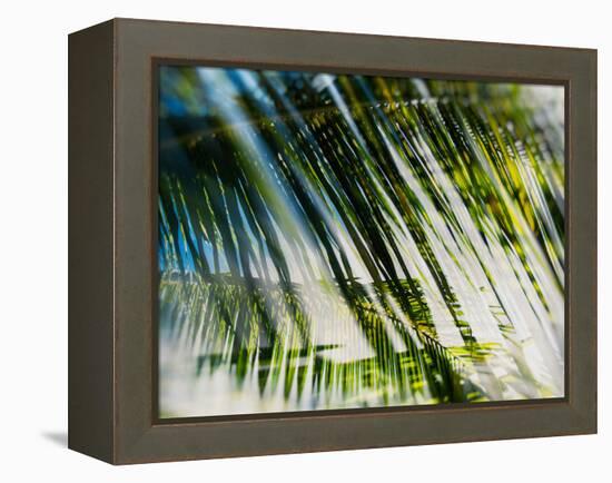 Evergreen No. 10-Sven Pfrommer-Framed Premier Image Canvas