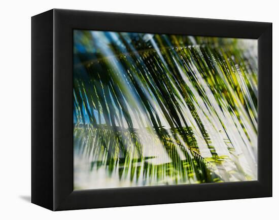 Evergreen No. 10-Sven Pfrommer-Framed Premier Image Canvas