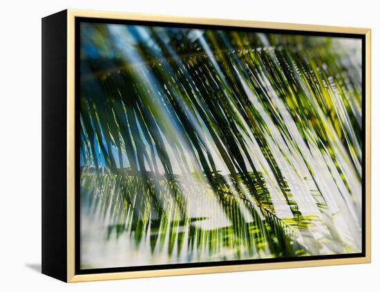 Evergreen No. 10-Sven Pfrommer-Framed Premier Image Canvas