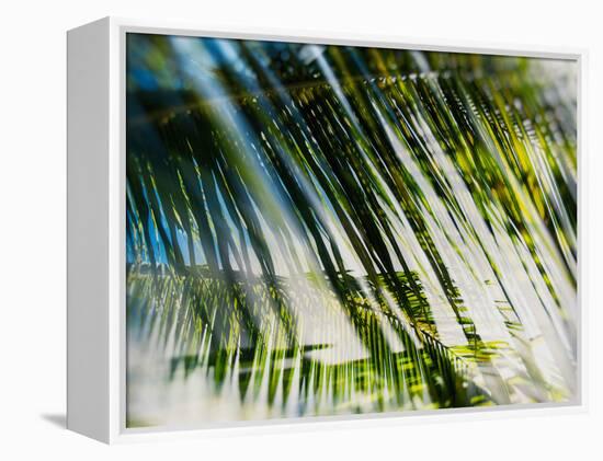 Evergreen No. 10-Sven Pfrommer-Framed Premier Image Canvas