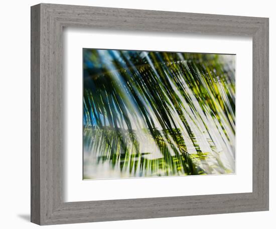 Evergreen No. 10-Sven Pfrommer-Framed Photographic Print