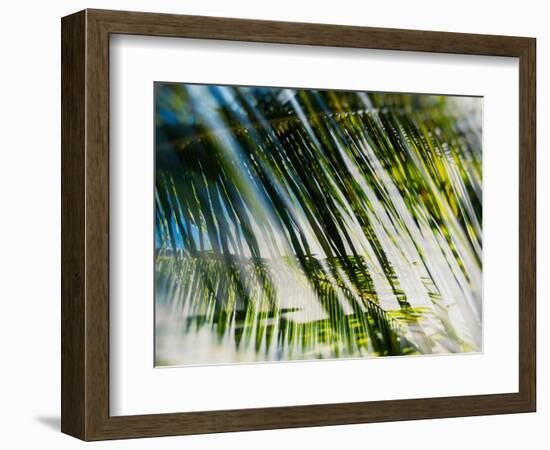 Evergreen No. 10-Sven Pfrommer-Framed Photographic Print