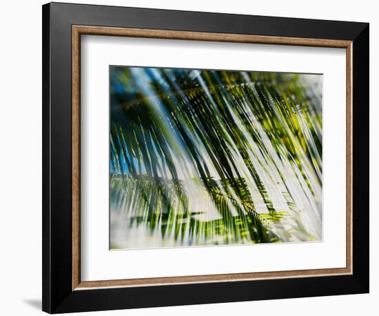 Evergreen No. 10-Sven Pfrommer-Framed Photographic Print