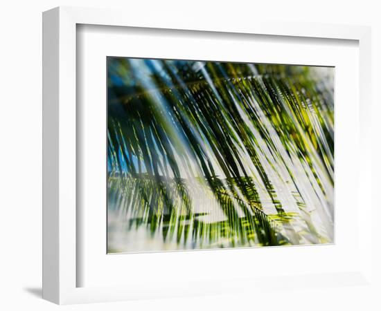 Evergreen No. 10-Sven Pfrommer-Framed Photographic Print