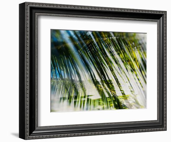 Evergreen No. 10-Sven Pfrommer-Framed Photographic Print