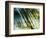 Evergreen No. 10-Sven Pfrommer-Framed Photographic Print